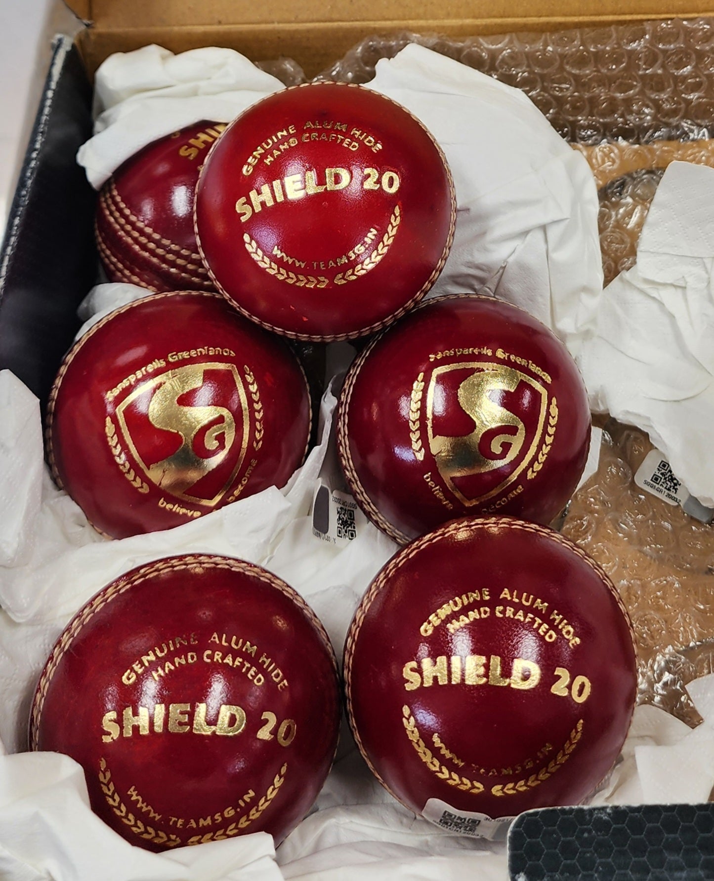 SG Shield 2.0 Cricket ball