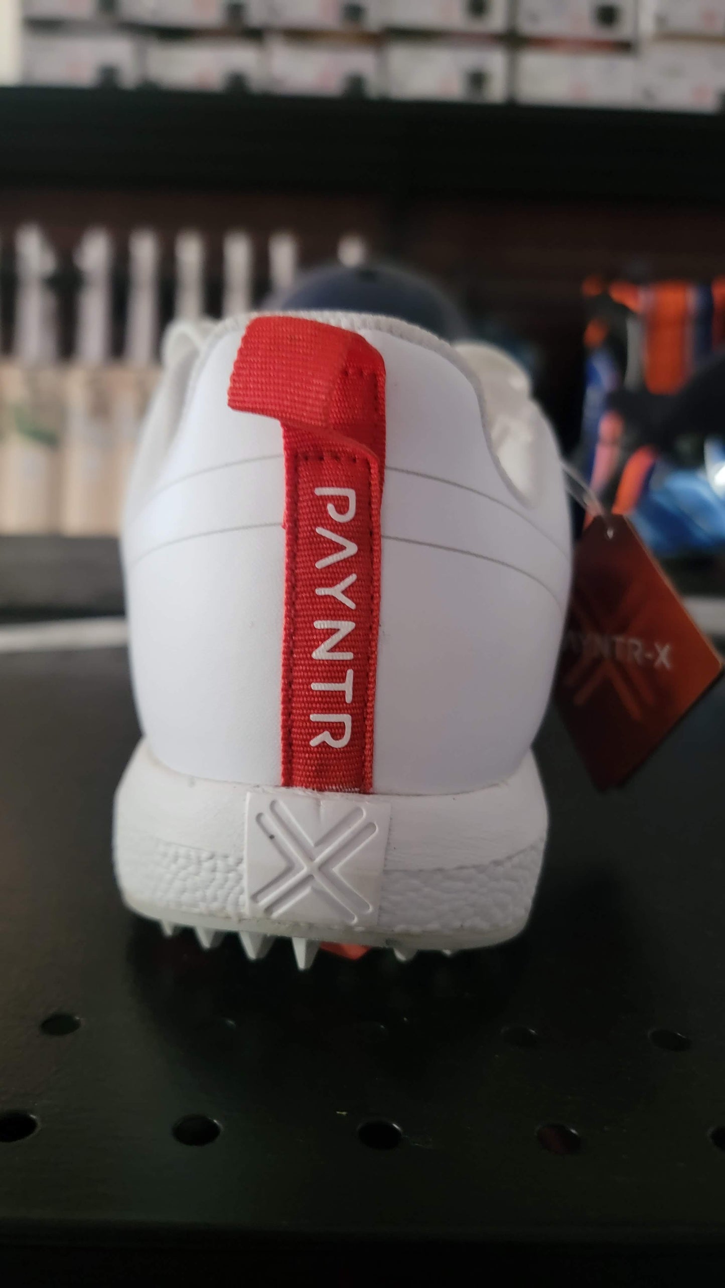 Payntr cricket shoes All White