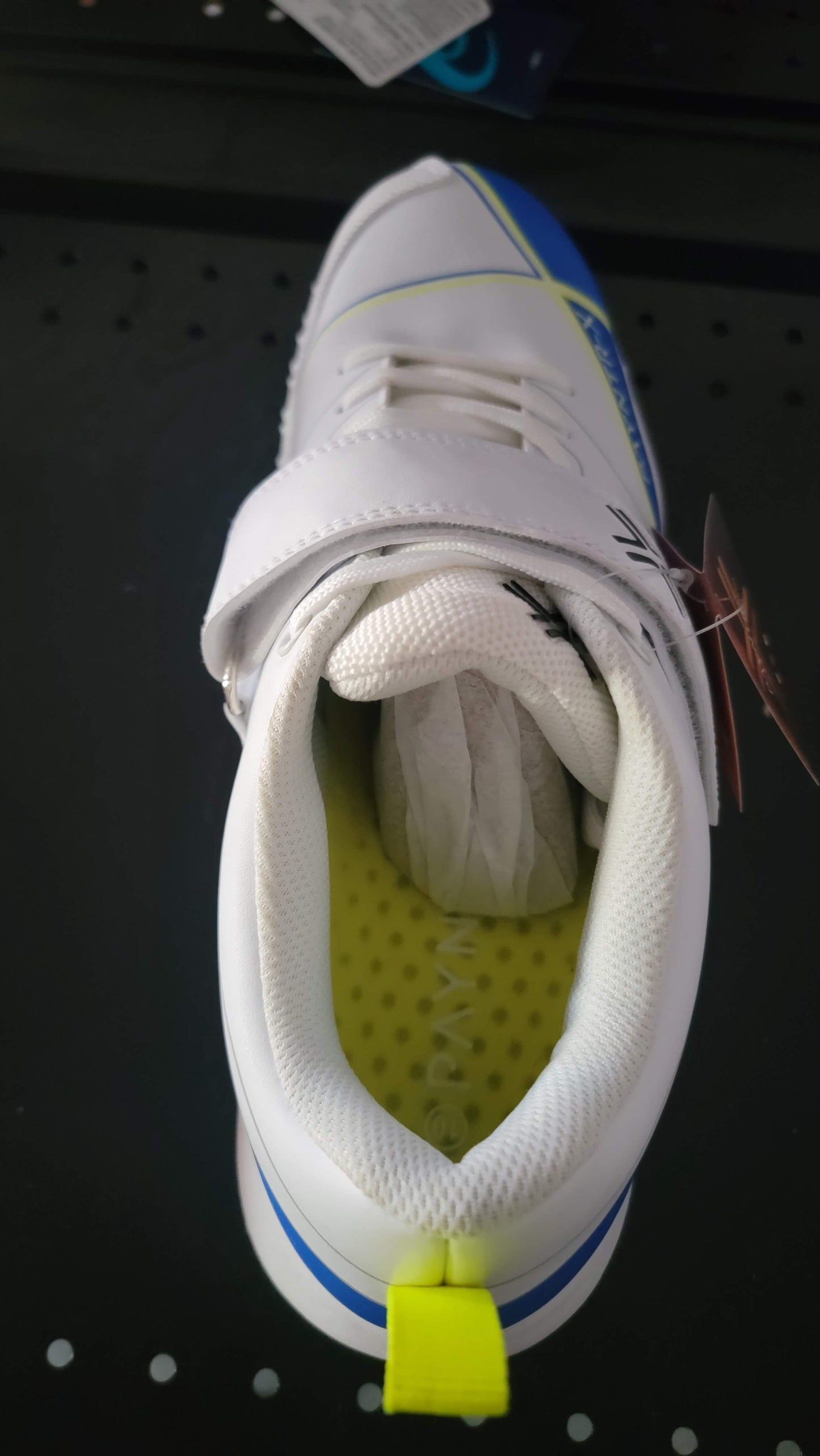 Payntr cricket spikes shoes - White Blue