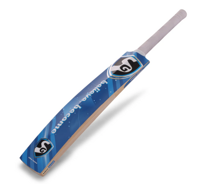 SG HP PLUS Kashmir Willow Bat