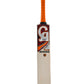CA Plus 10000 English Willow cricket bat