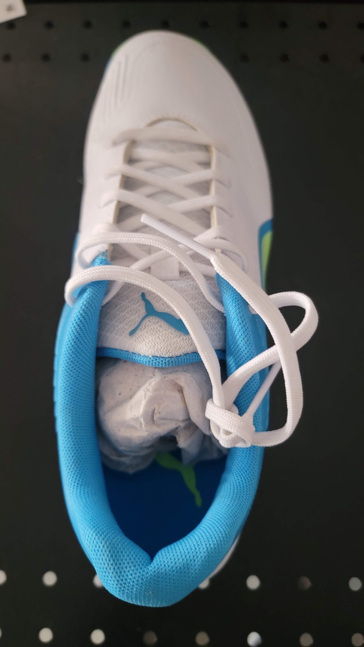 PUMA Cricket SHOES White NRGY Blue-Green