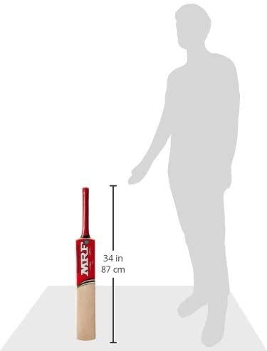 MRF CHAMPION Kashmir Willow Cricket Bat