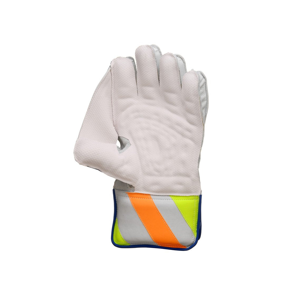 SG RP 17 Wicketkeeping Gloves (Multi-Color)