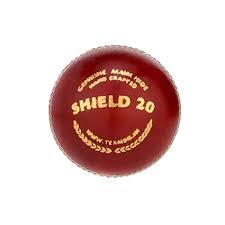 SG Shield 2.0 Cricket ball