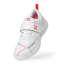 Payntr cricket spikes shoes - All White