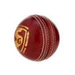 SG Shield 2.0 Cricket ball