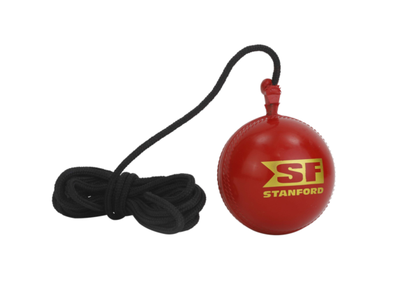 SF Cricket Hanging Ball